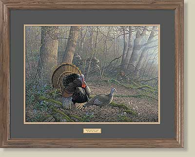 Tom Foolery-Wild Turkeys by Michael Sieve